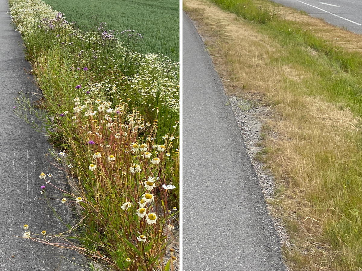 Kuvapari pientareista, vasemmalla Riipiläntie, oikeanpuoleinen Vantaankoskelta